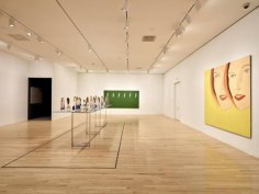 Installation view of Focus On: Alex Katz, Dallas Museum of Art, Dallas, Texas, 2019
