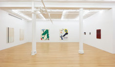 Installation view of Rebecca Ward's work in Field of Vision, Peter Blum Gallery, 2021