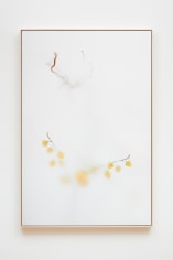 Su-Mei Tse Moment (Rue du Pont-aux-Choux), 2019 inkjet on fine art paper mounted on Dibond 36 3/4 x 55 1/8 inches (93.3 x 140 cm) Edition of 5 (SMT19-02)
