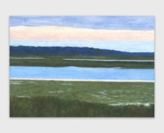 Eleanor Ray, Florida Wetlands, Dawn, 2025