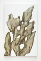Robert Zandvliet Strange Stone, 2011
