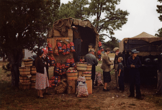 Russell Lee Fruit Wagon at the Pie Town, New Mexico Fair, 1940