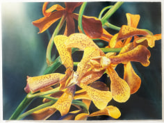 Kirk Lybecker Orchid, c. 1993-94