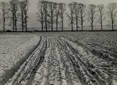 Albert Renger-Patzsch, Winter Landscape near Kaiserwerth, 1930, vintage gelatin silver print, 6 &frac12; x 9 7/8 inches