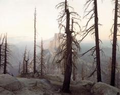 Richard Misrach,&nbsp;Yosemite (Burnt Forest and Half Dome),&nbsp;1988, c-print mounted on board paper, 20 x 24 inches&nbsp;