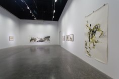 Acid Fields,&nbsp;Shawki Youssef, Installation view at Green Art Gallery, Dubai, 2013