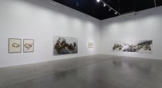 Acid Fields,&nbsp;Shawki Youssef, Installation view at Green Art Gallery, Dubai, 2013