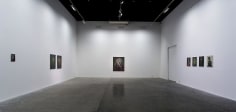 Testament,&nbsp;Ross Chisholm, Installation view at Green Art Gallery, Dubai, 2014