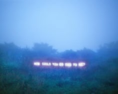 Jung Lee, How Could You Do This To Me?, 2011, C-type Print, 136 x 170 cm