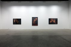 Innerscapes, Nazif Topcuoglu, Installation view at Green Art Gallery, Dubai, 2012