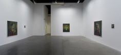 Testament,&nbsp;Ross Chisholm, Installation view at&nbsp;Green Art&nbsp;Gallery, Dubai, 2014