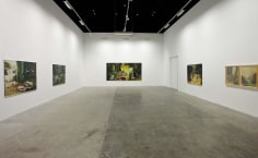 Celebrations of the Absent, Ziad Dalloul, Installation view at Green Art Gallery, Dubai, 2011