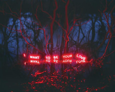 Jung Lee, I Want To Be Your Love, 2012, C-type Print, 136 &times; 170 cm