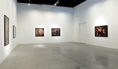 Innerscapes, Nazif Topcuoglu, Installation view at Green Art Gallery, Dubai, 2012