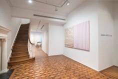 Jarbas Lopes: A Line ​Installation View