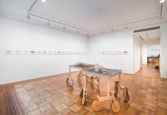 Jarbas Lopes: A Line ​Installation View