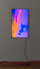 Luca Dellaverson &quot;Mystic Styles (The Drowning Dog) 3&quot;, 2017 LCD Monitor, epoxy resin, digital file 40-5/8 x 23-1/8 x 1-1/2 inches
