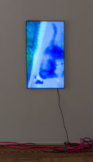 Luca Dellaverson &quot;Mystic Styles (The Drowning Dog) 4&quot;, 2017 LCD Monitor, epoxy resin, digital file 40-5/8 x 23-1/8 x 1-1/2 inches