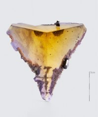 Fine Mineral photograph of an illinois fluorite on a white background for wilensky exquisite minerals habits exhibition.