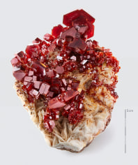 Fine Mineral photograph of vanadinite on white for wilensky exquisite minerals habits exhibition.