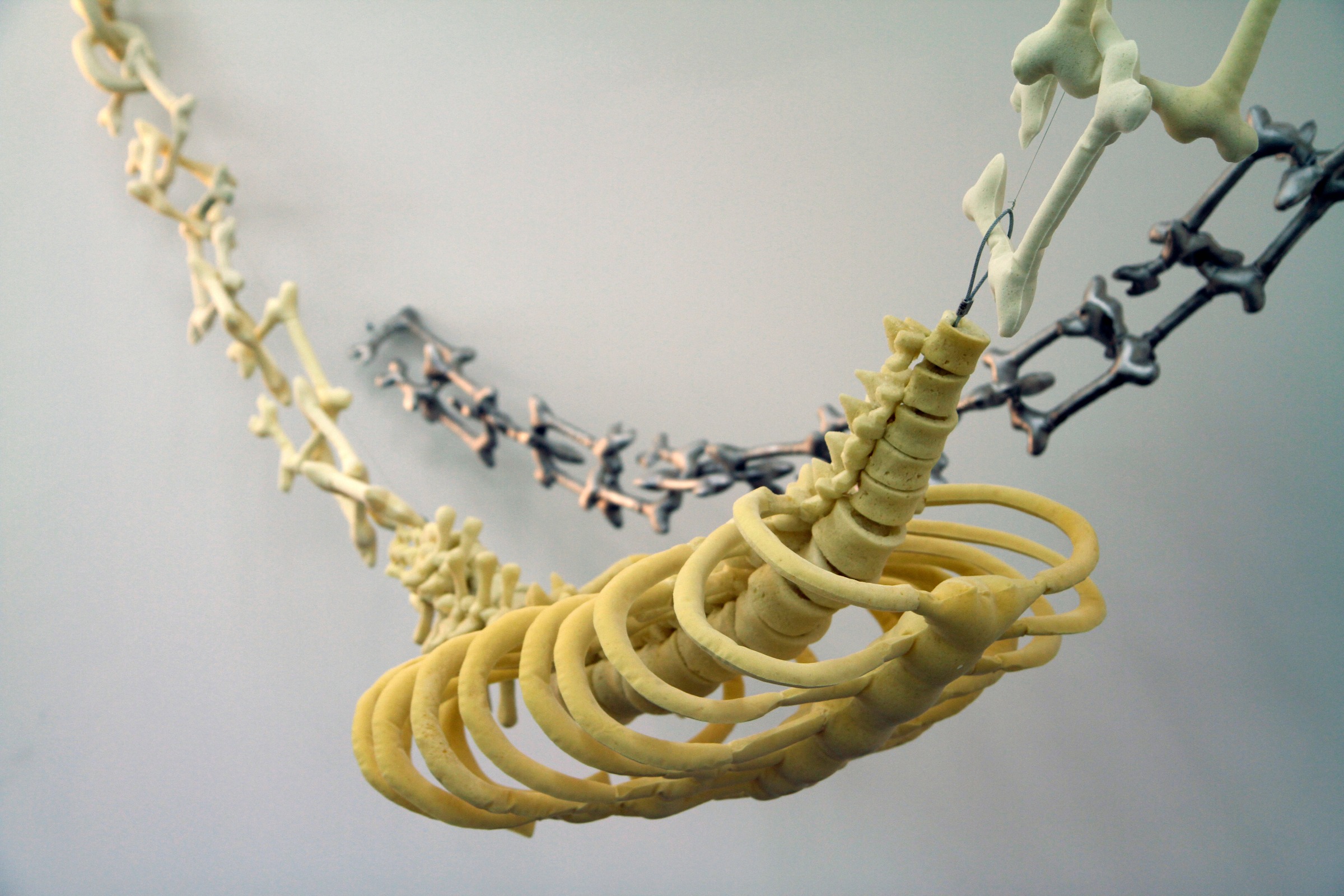 Installation Shot, Unearthed, 2012