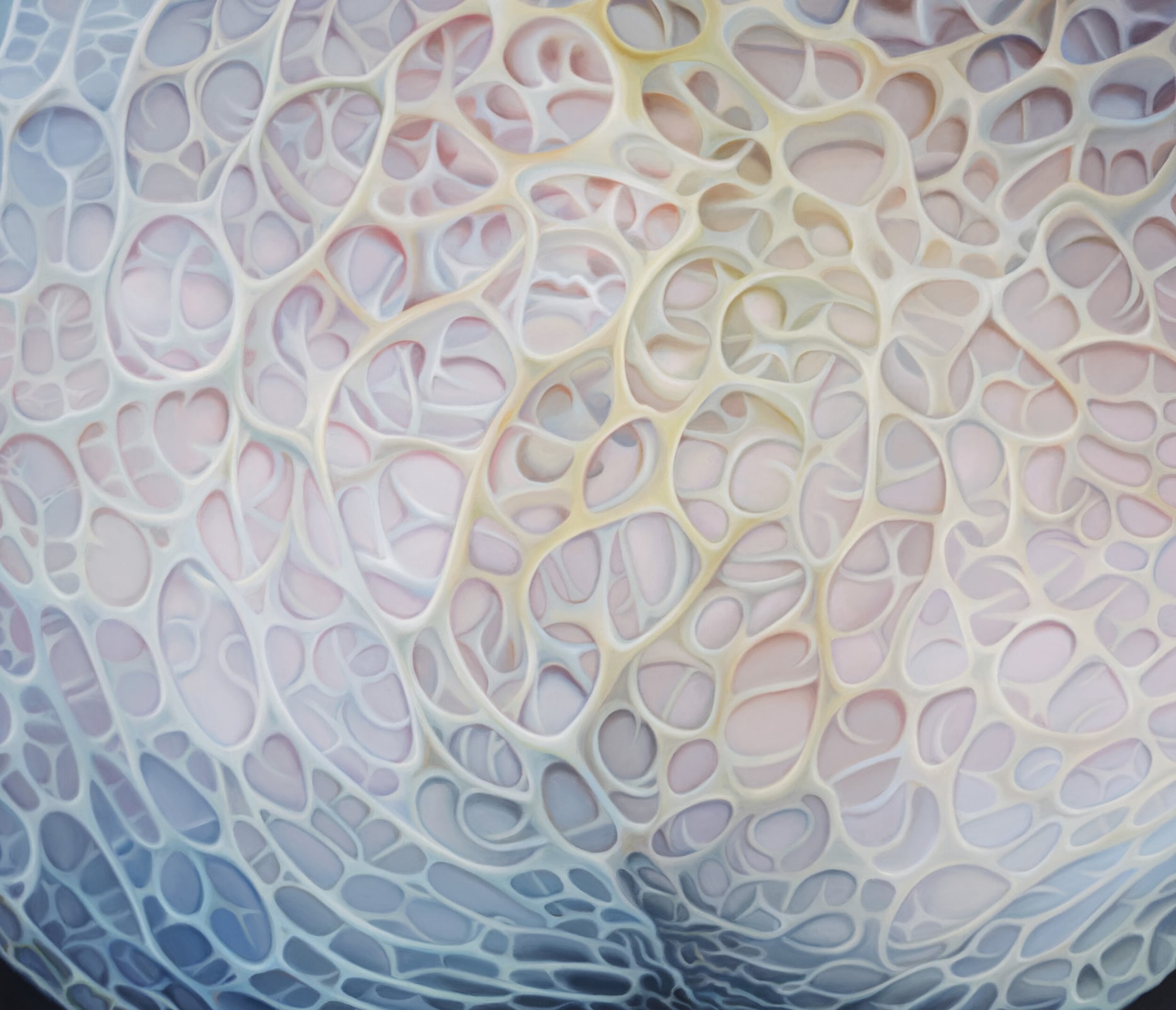 Anna Camner