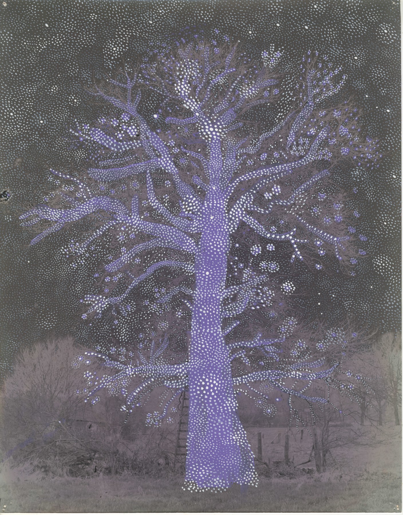 Dietmar Busse, Purple Magic Garden, 2024