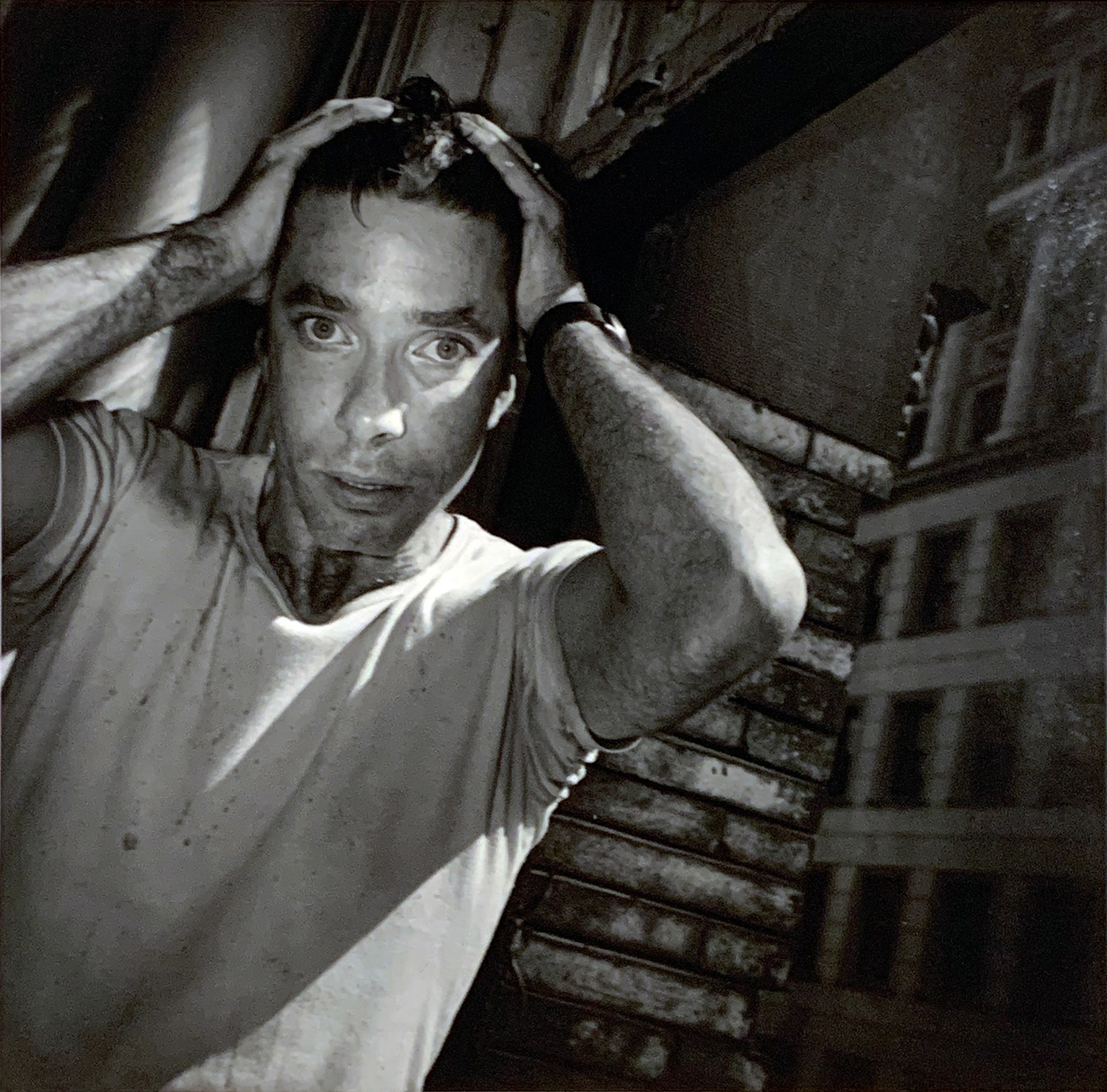 Stephen Lack by Tim Greathouse