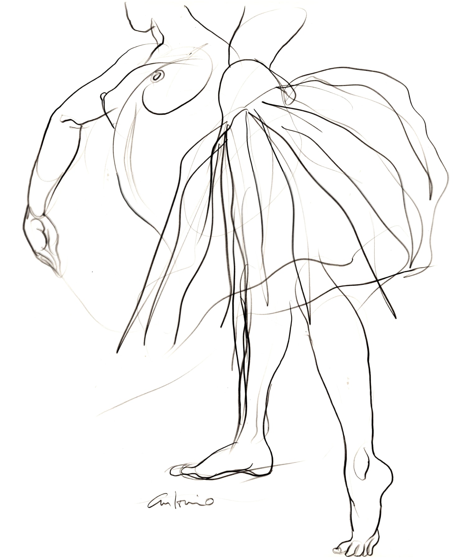 Sketch of dancer by Antonio Lopez