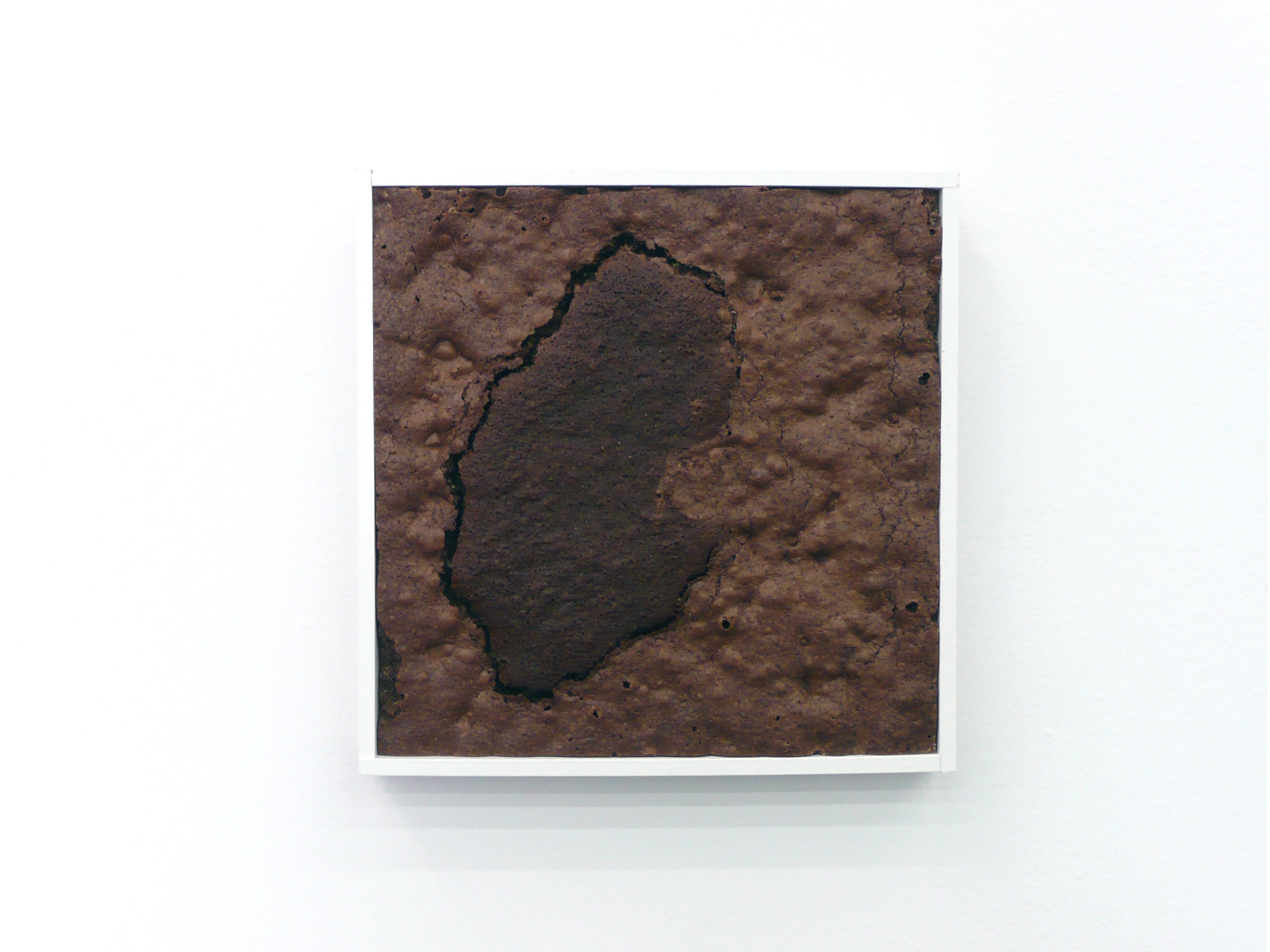 Installation View of Lael Corbin: Greetings from Earth