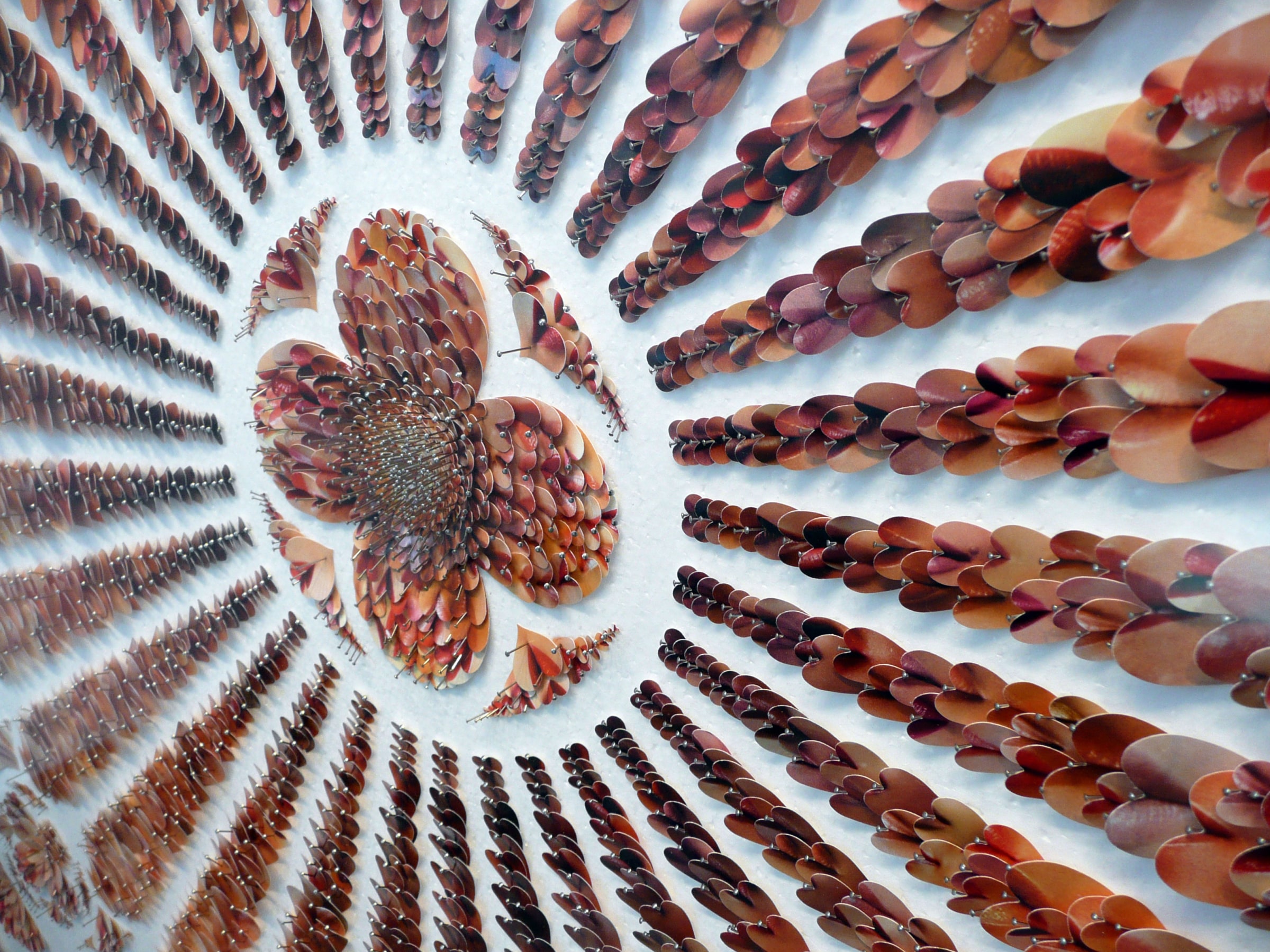 Installation View of David Adey: I've got a river of life flowing out of me