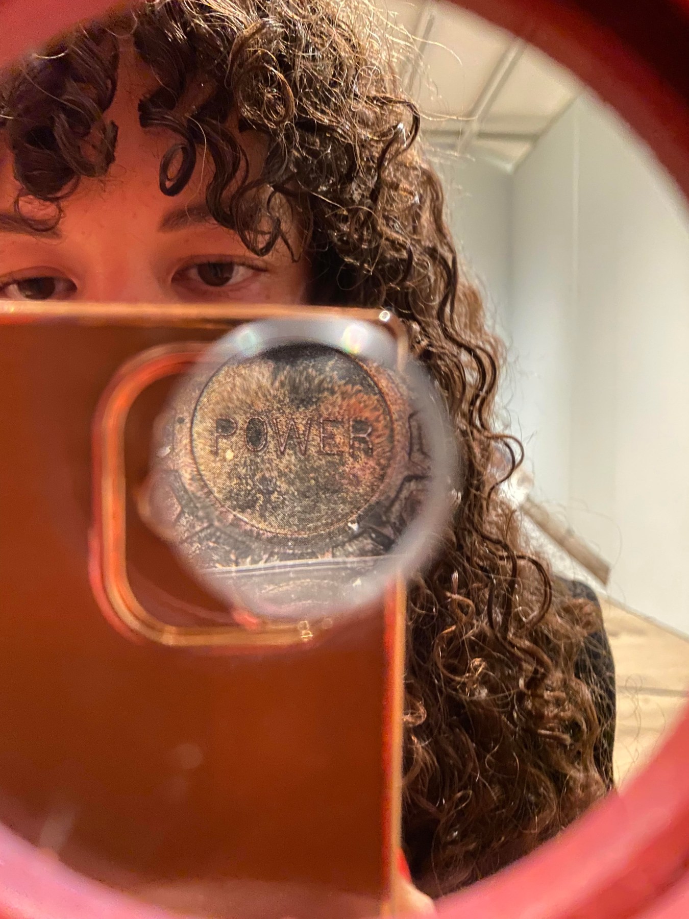 Edra Soto,&nbsp;GRAFT, 2022. Installation view of&nbsp;no existe un mundo poshurac&aacute;n: Puerto Rican Art in the Wake of Hurricane Maria, at the Whitney Museum of American Art, New York,&nbsp;November 23, 2022&ndash;April 23, 2023.