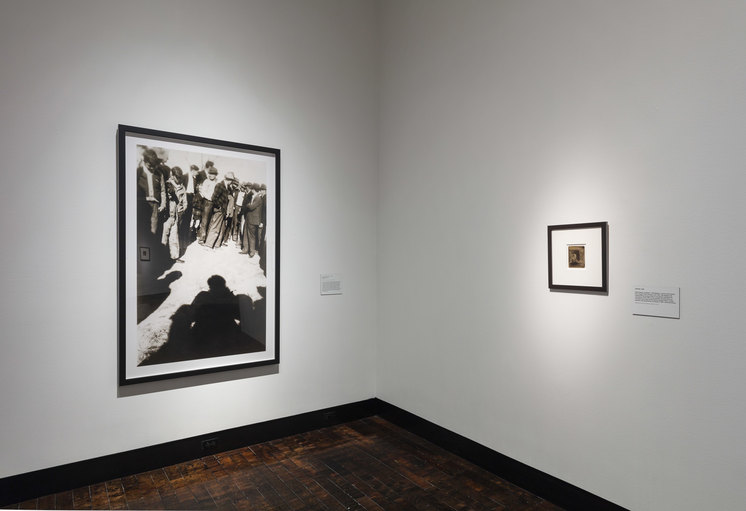 Installation View of&nbsp;Phantom Bodies: The Human Aura in Art. Photo by&nbsp;John Schweikert.