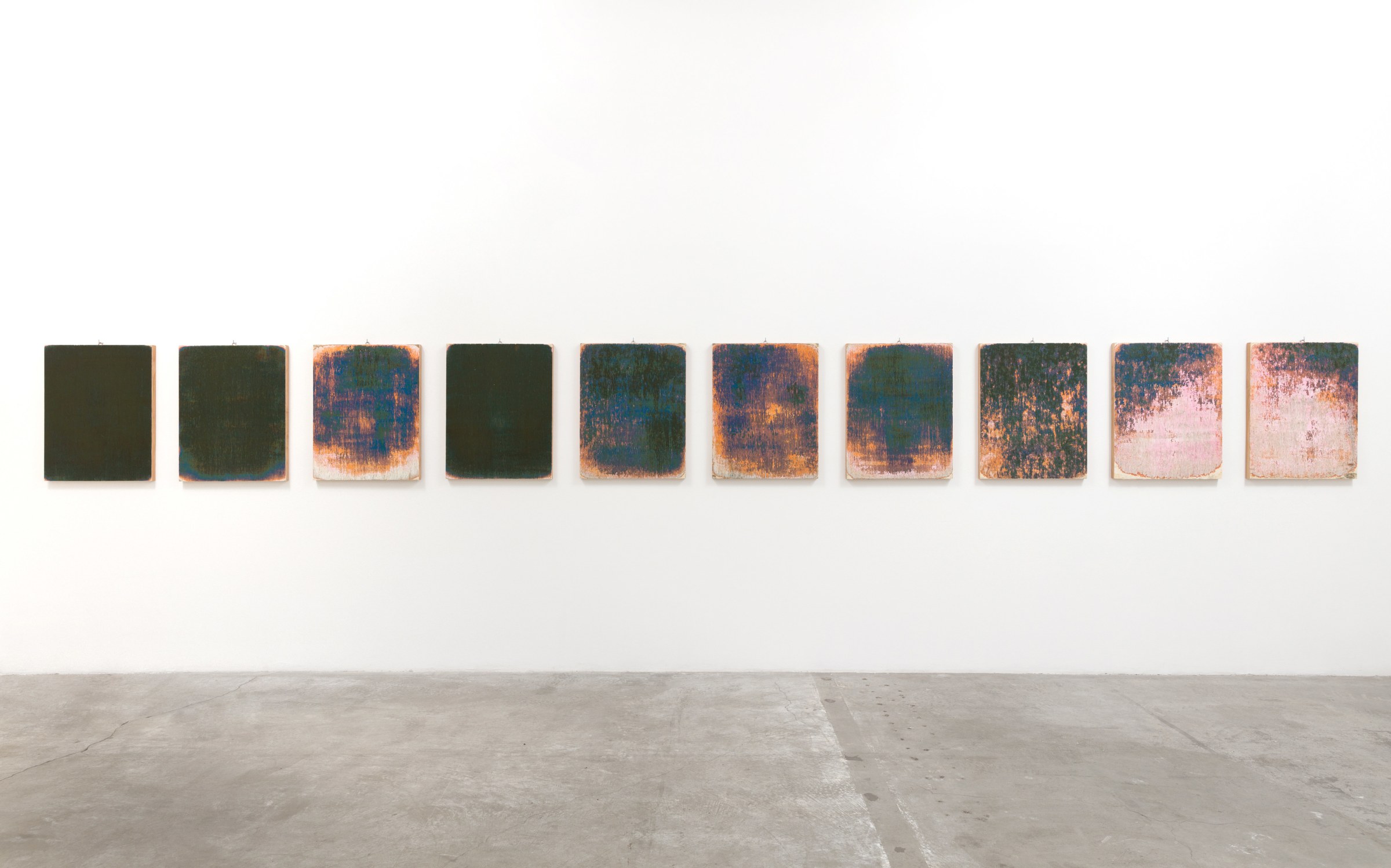 Installation View of Margie Livingston: The Earth is a Brush