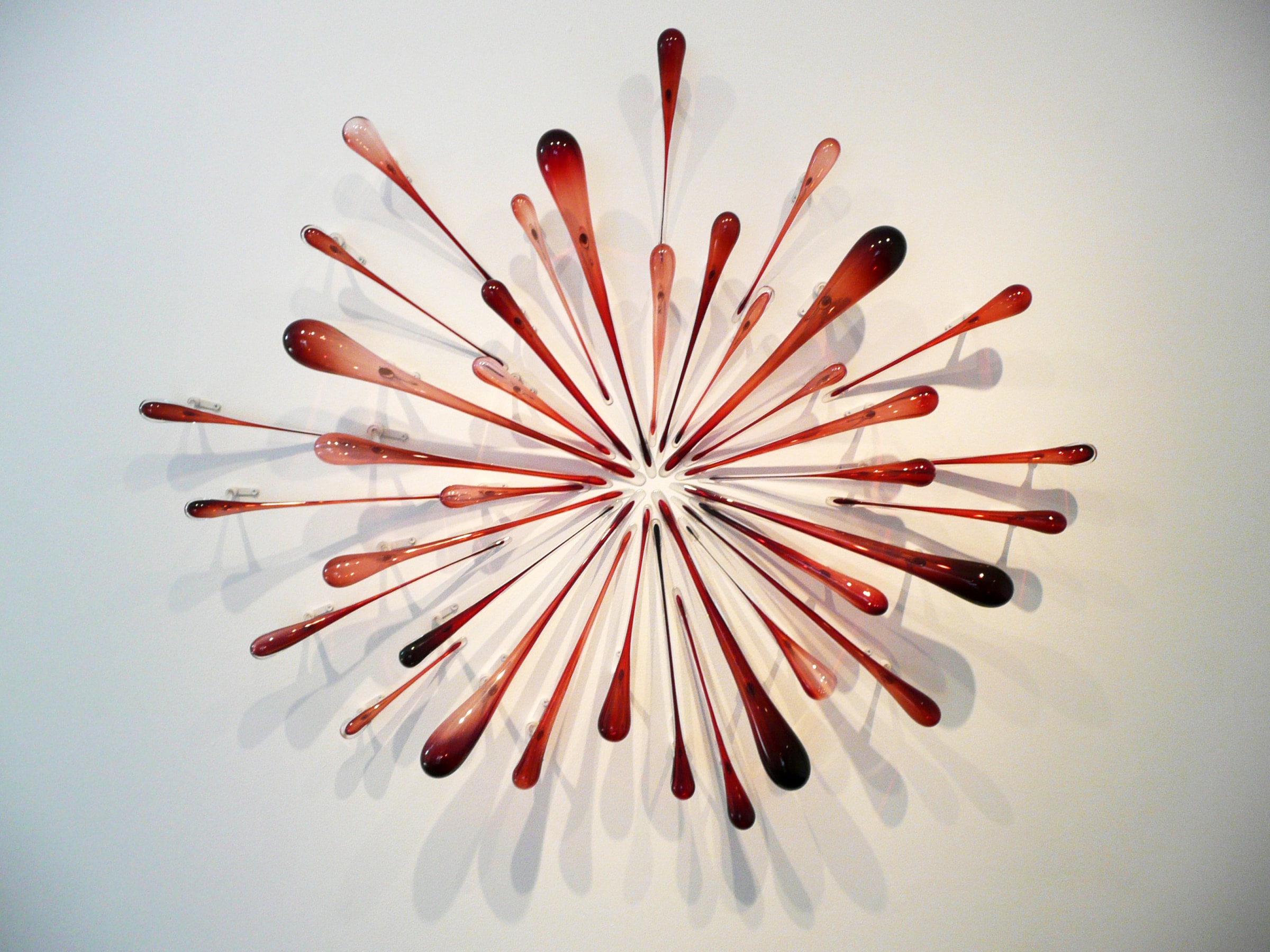 Installation View of Graham Caldwell: Inside Out