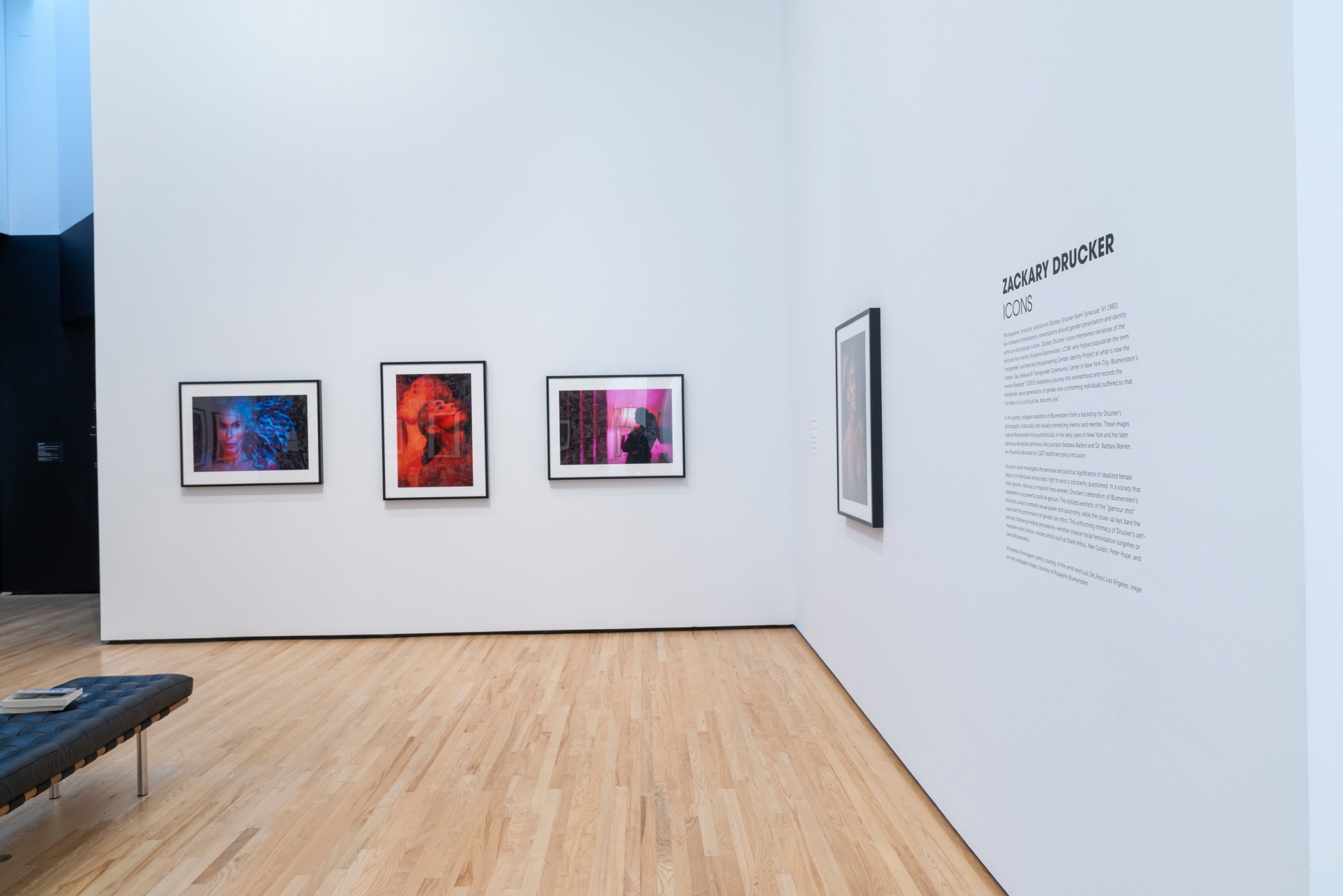 Exhibition View of Zackary Drucker:&nbsp;Icons&nbsp;at the Baltimore Museum of Art.