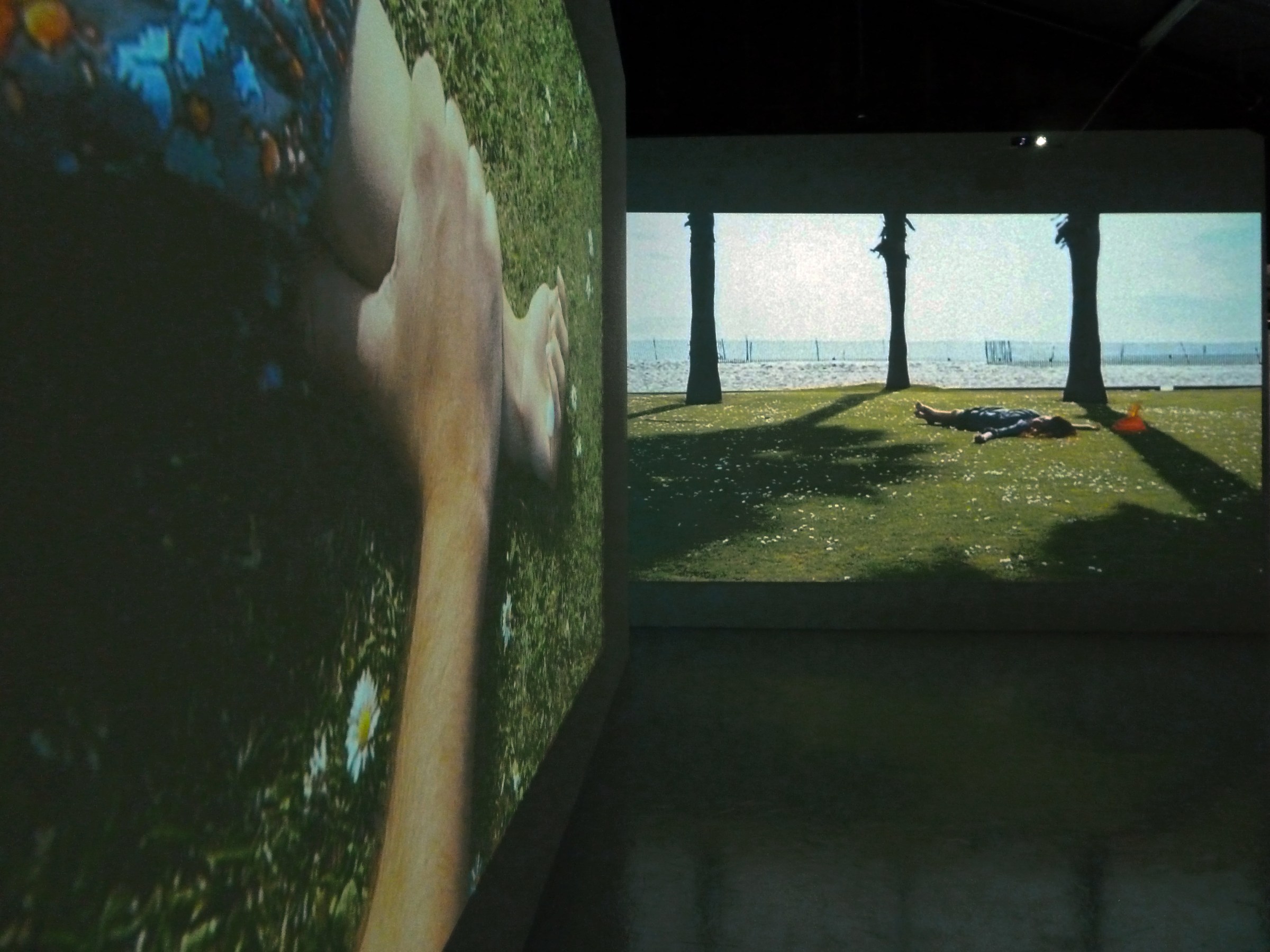 Installation View of Laerke Lauta: Out of the Desert