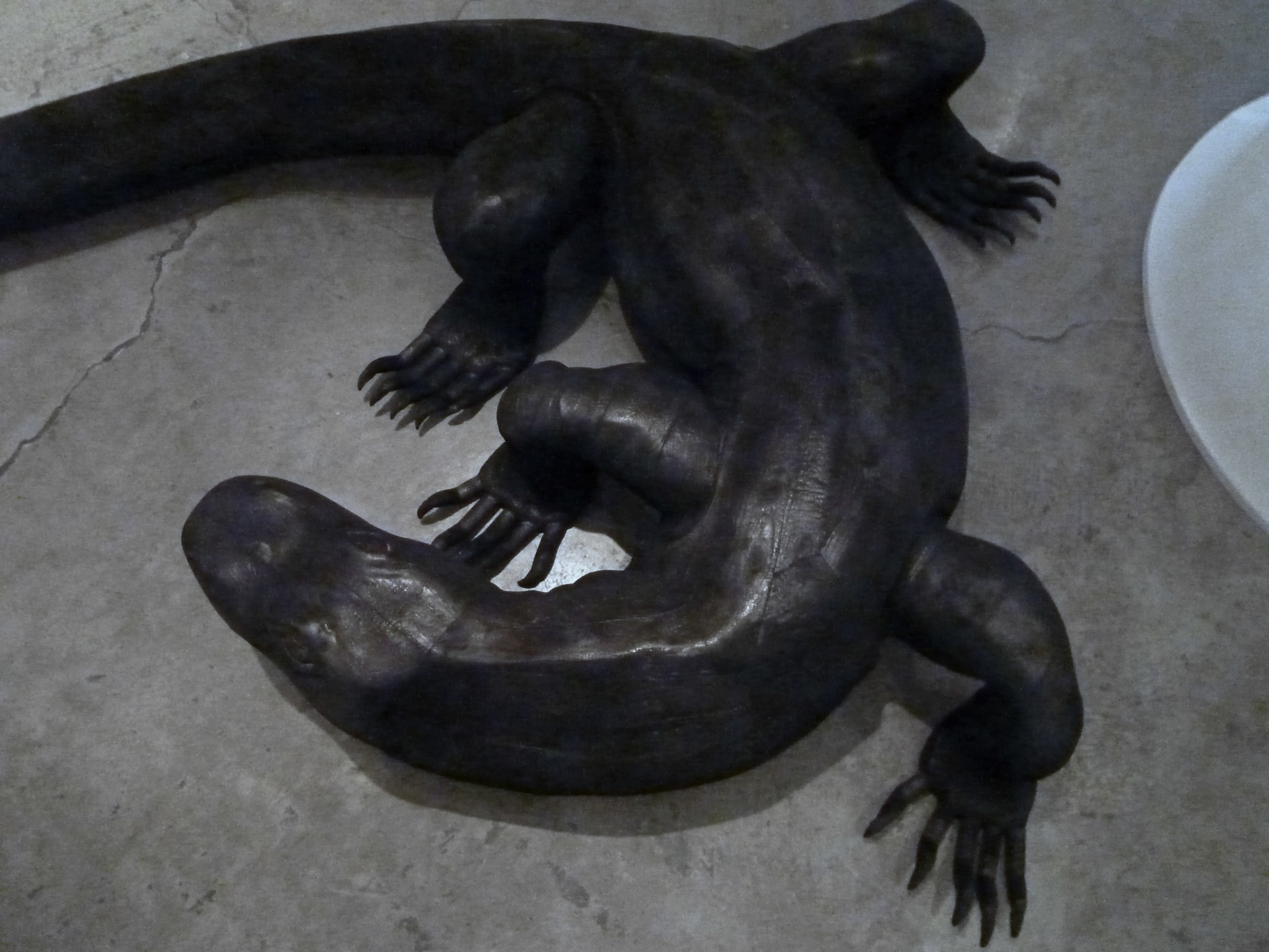 Marisol Rend&oacute;n