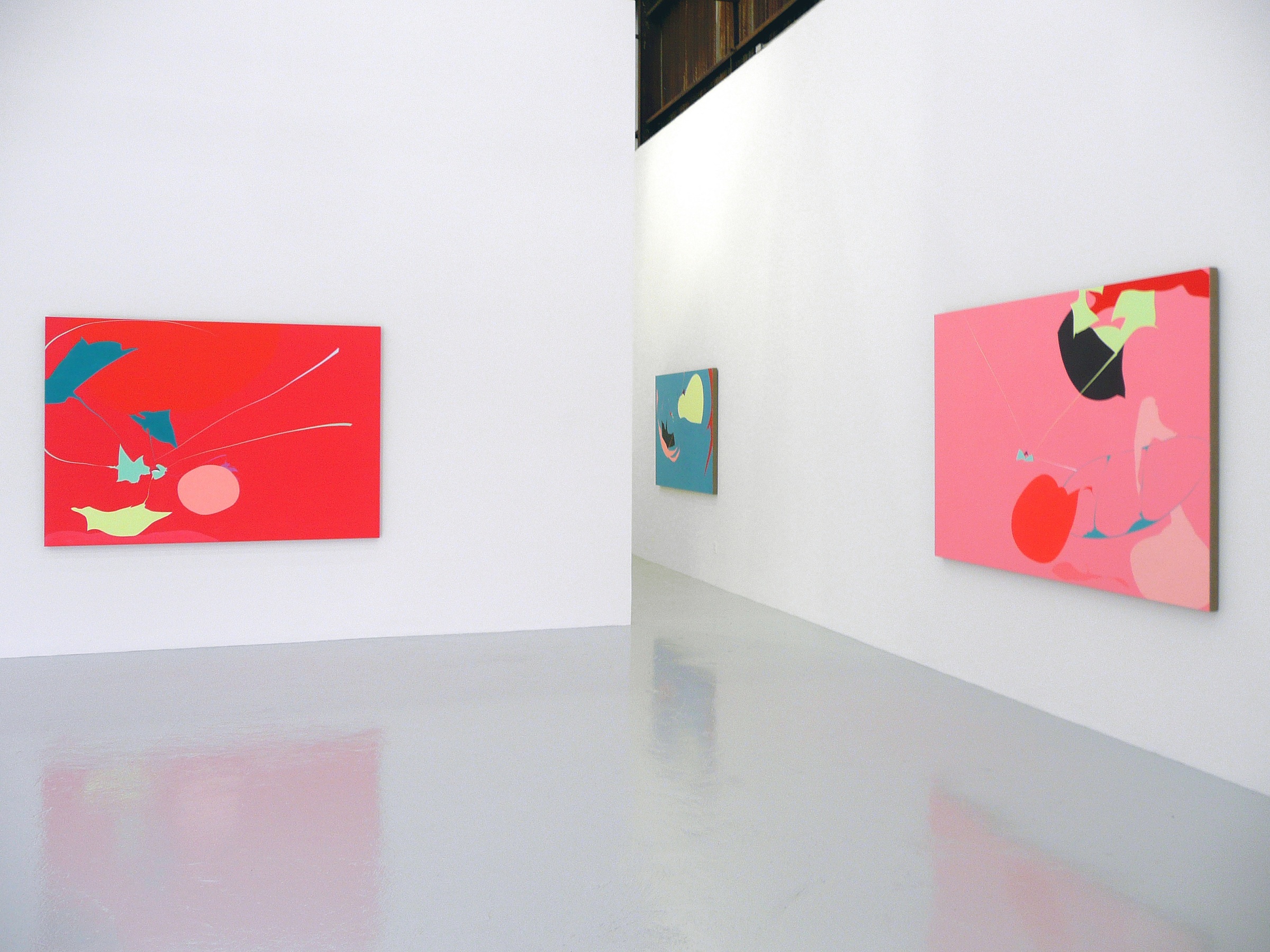 Installation View of Heather Gwen Martin: Recreational Systems