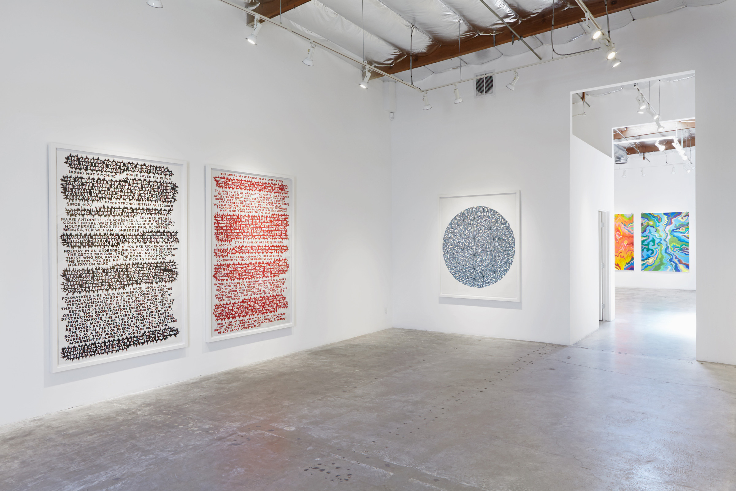 Installation View of Dennis Koch: Catch-22 x TWO