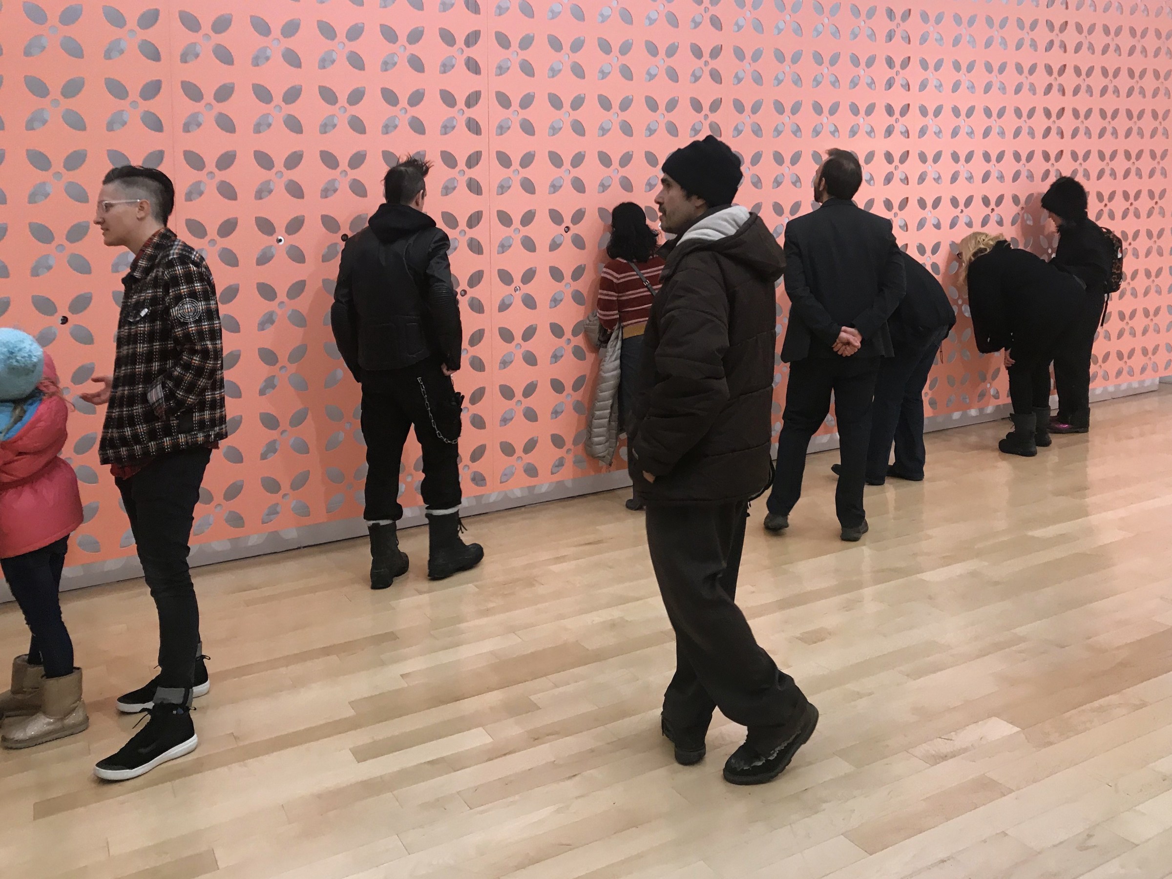 Installation view of GRAFT