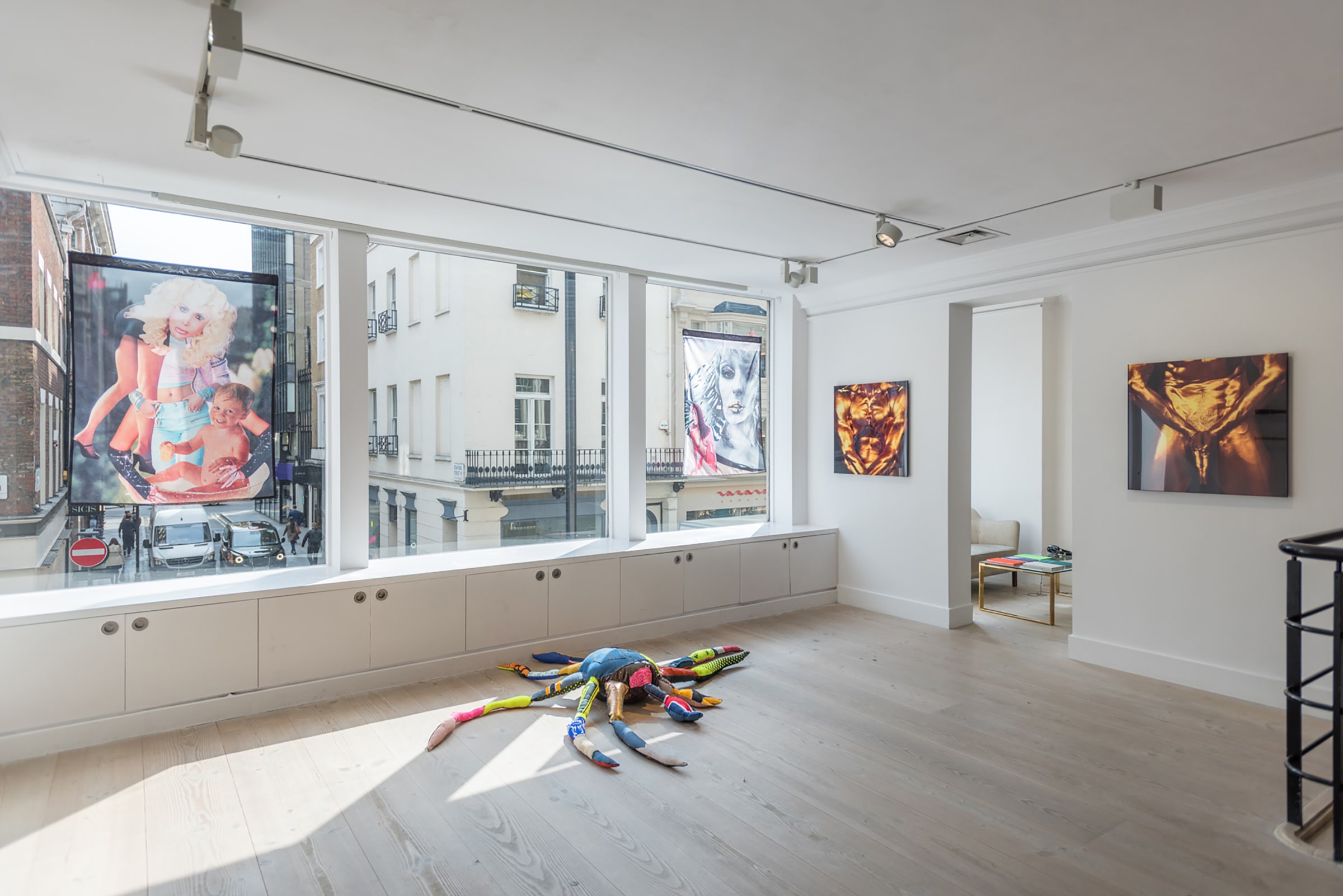 Installation View of Zachary Drucker: It's Not You, It's Me at the Gazelli Art House