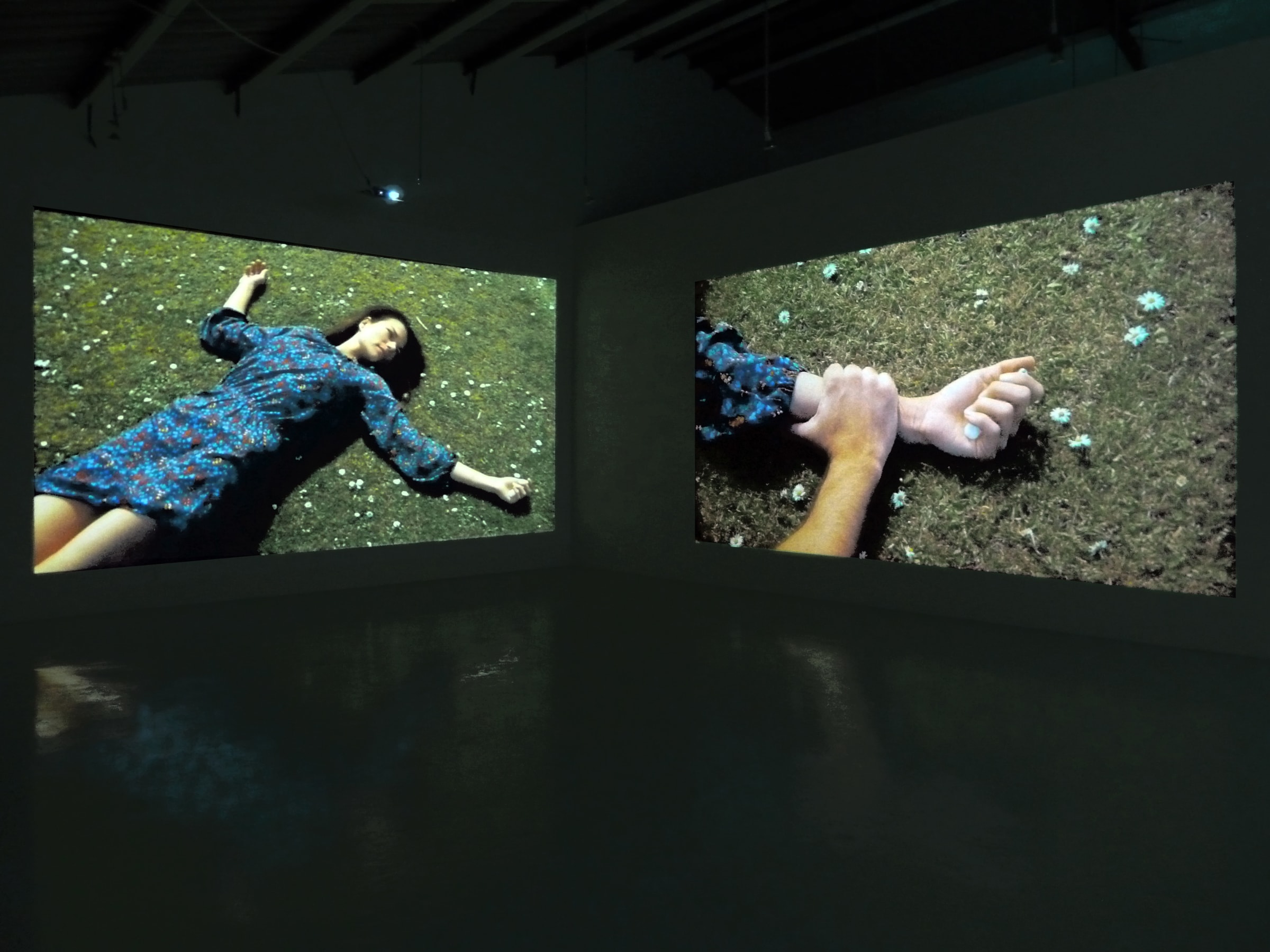 Installation View of Laerke Lauta: Out of the Desert