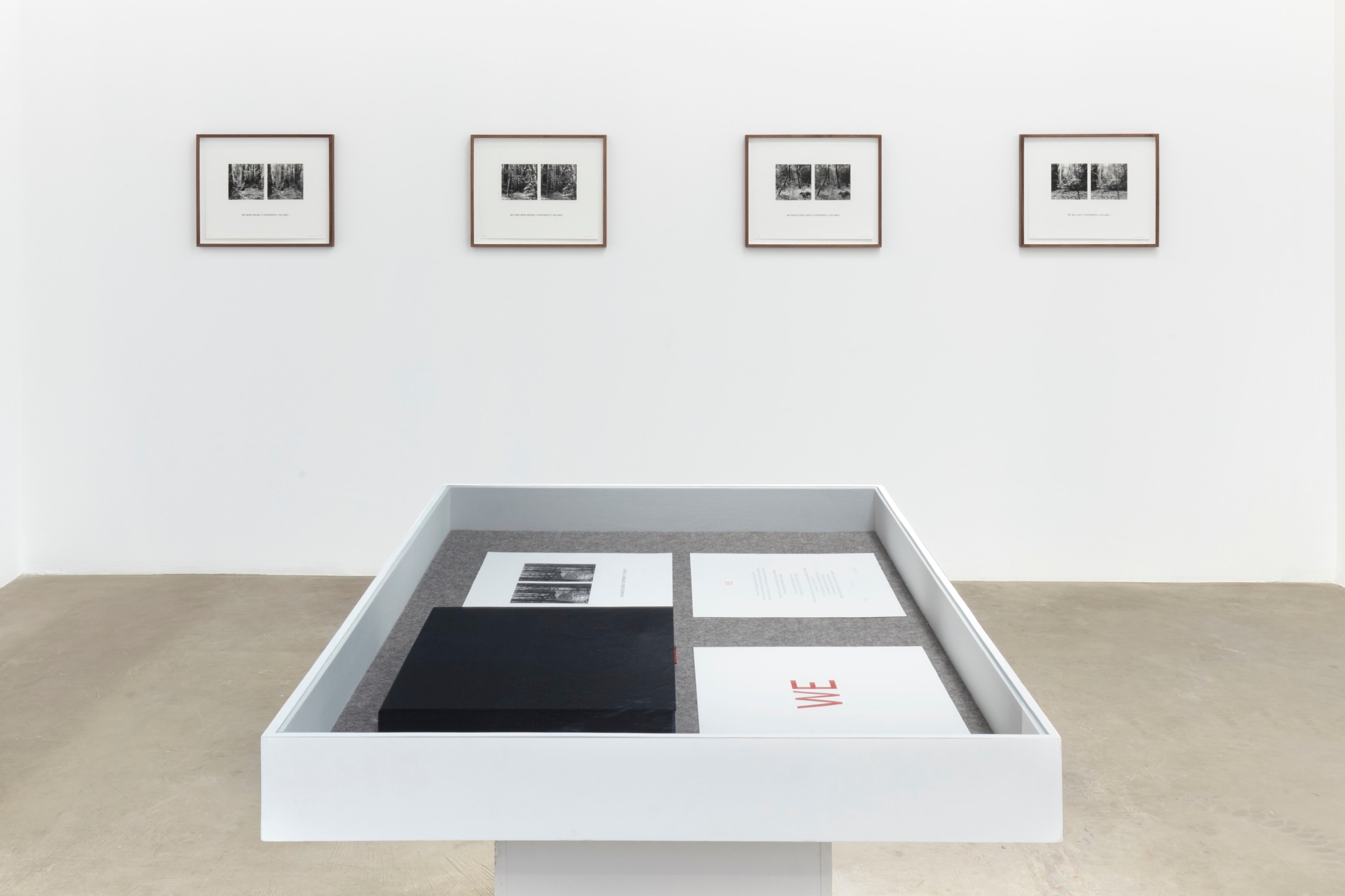 Installation view of Susan Silton: WE_Image 2