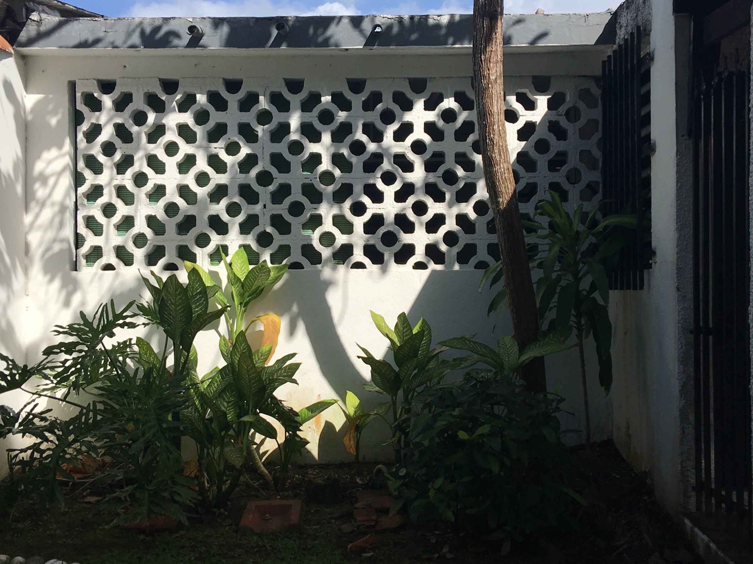 Installation view of Screenhouse​