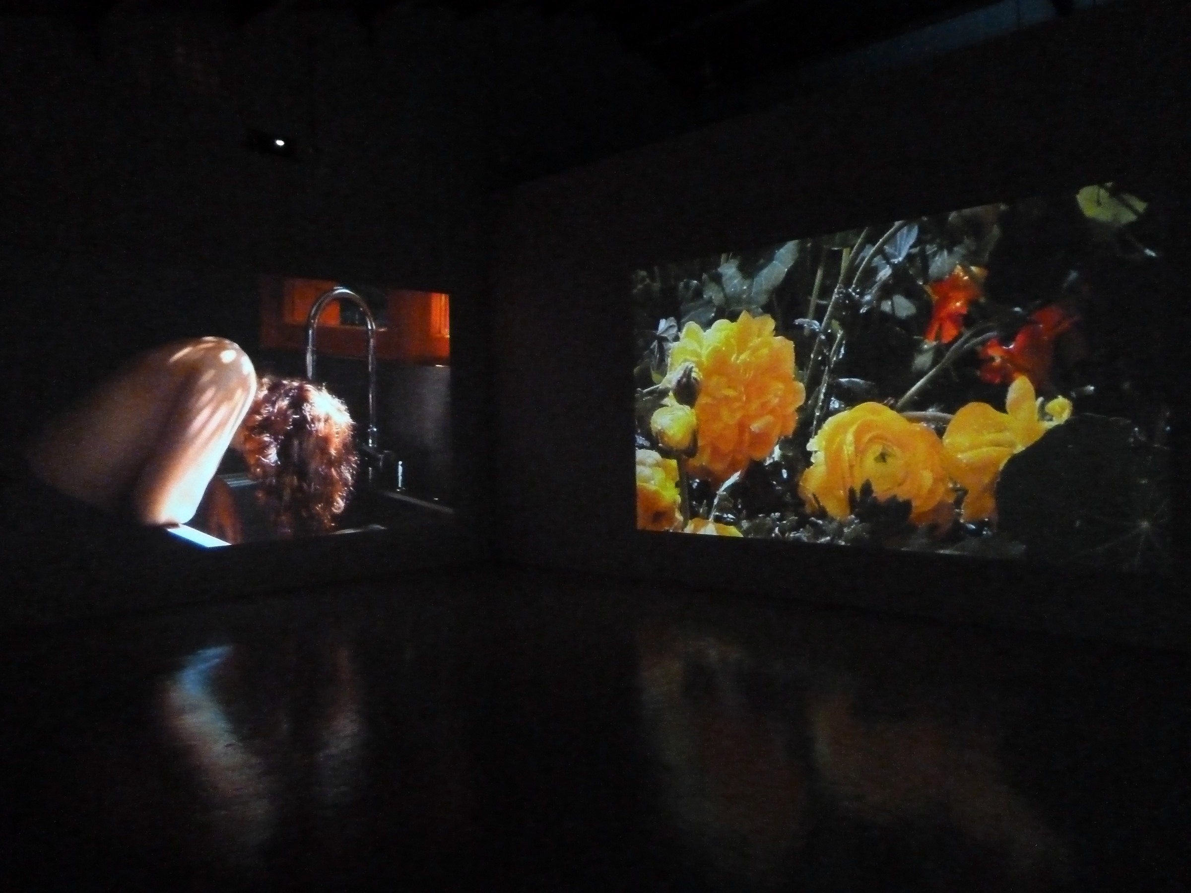 Installation View of Laerke Lauta: Out of the Desert