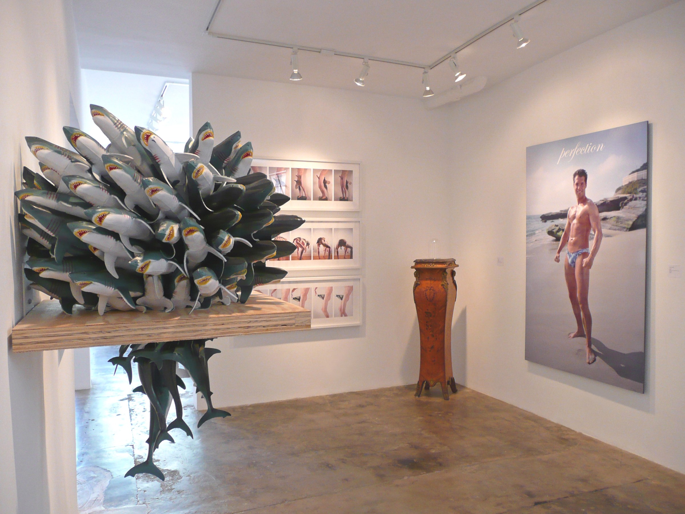 Installation View of COCKED! The Possessed Male: Object of Desire