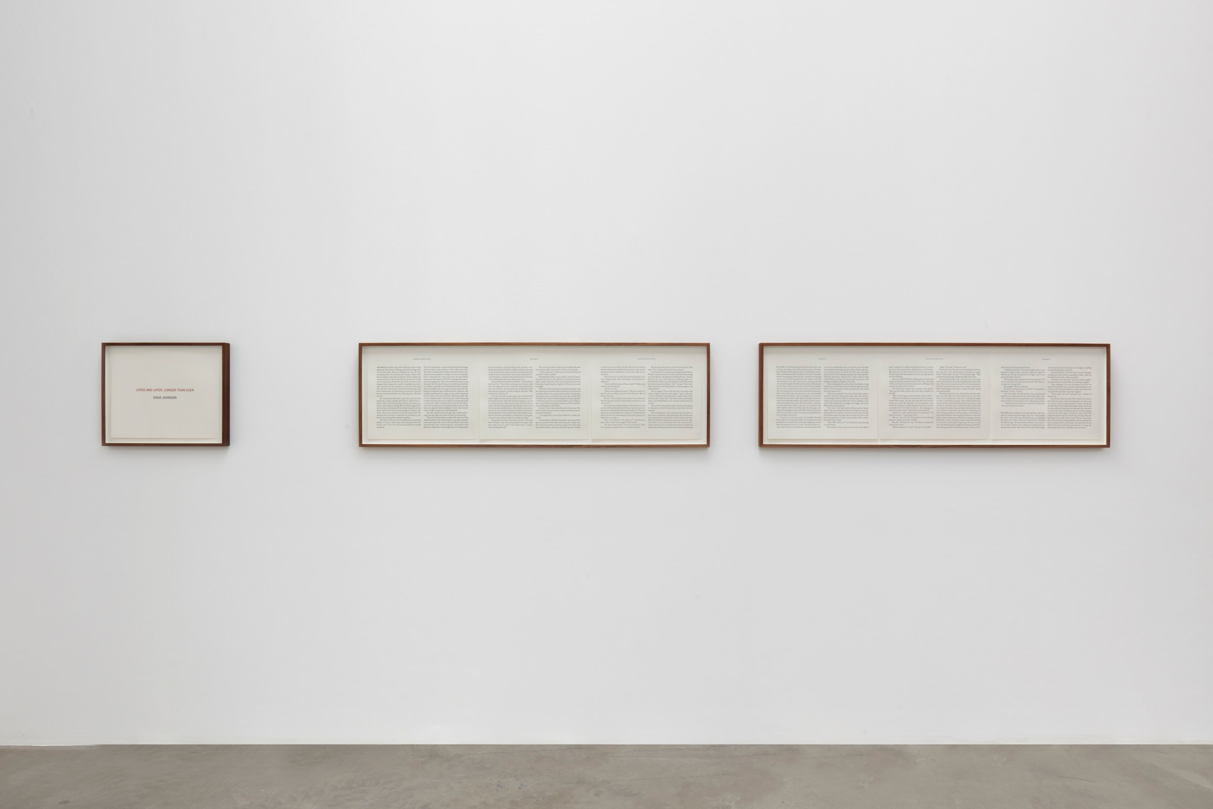 Installation view of Susan Silton: WE_Image 5