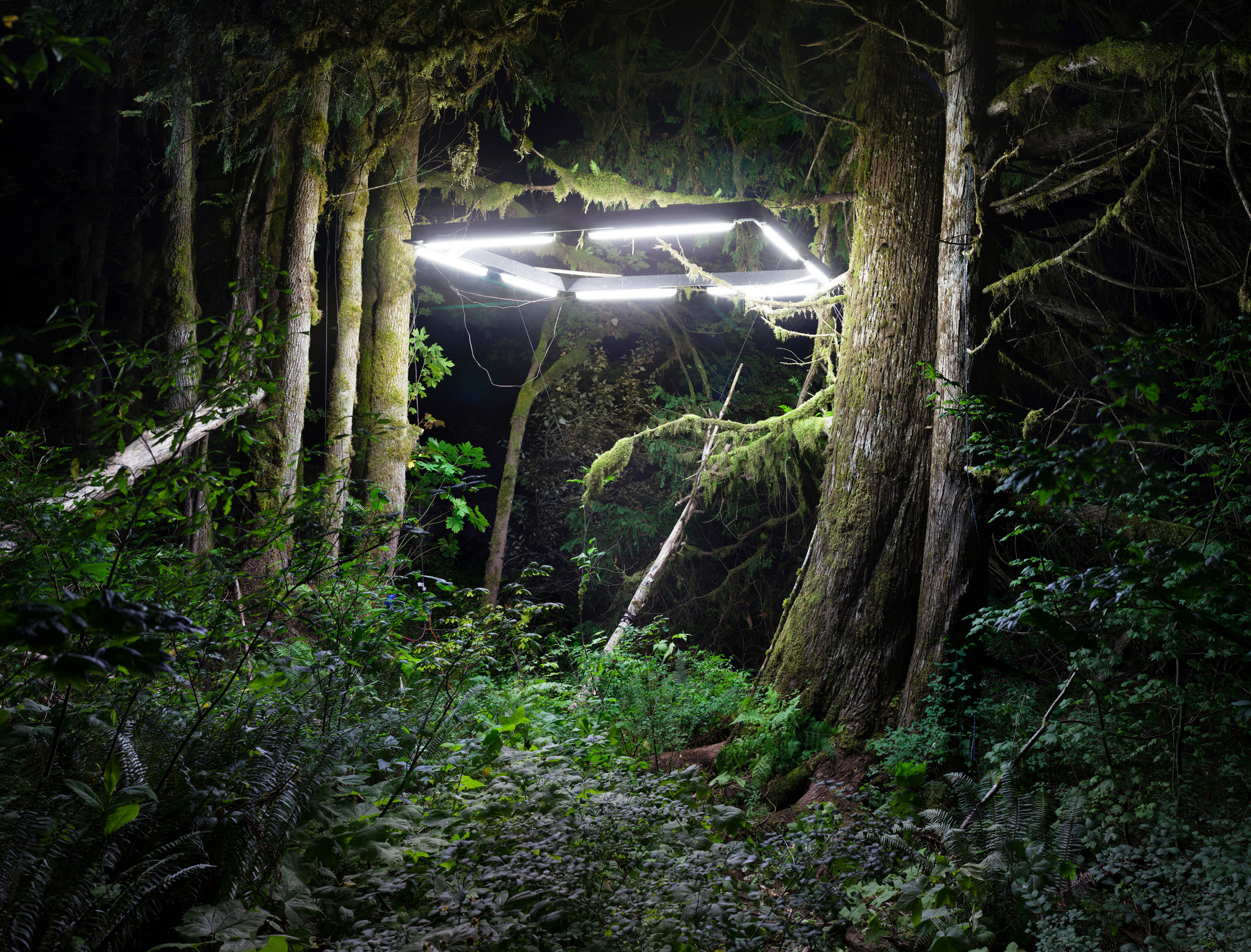 Chris Engman Shelter, 2016