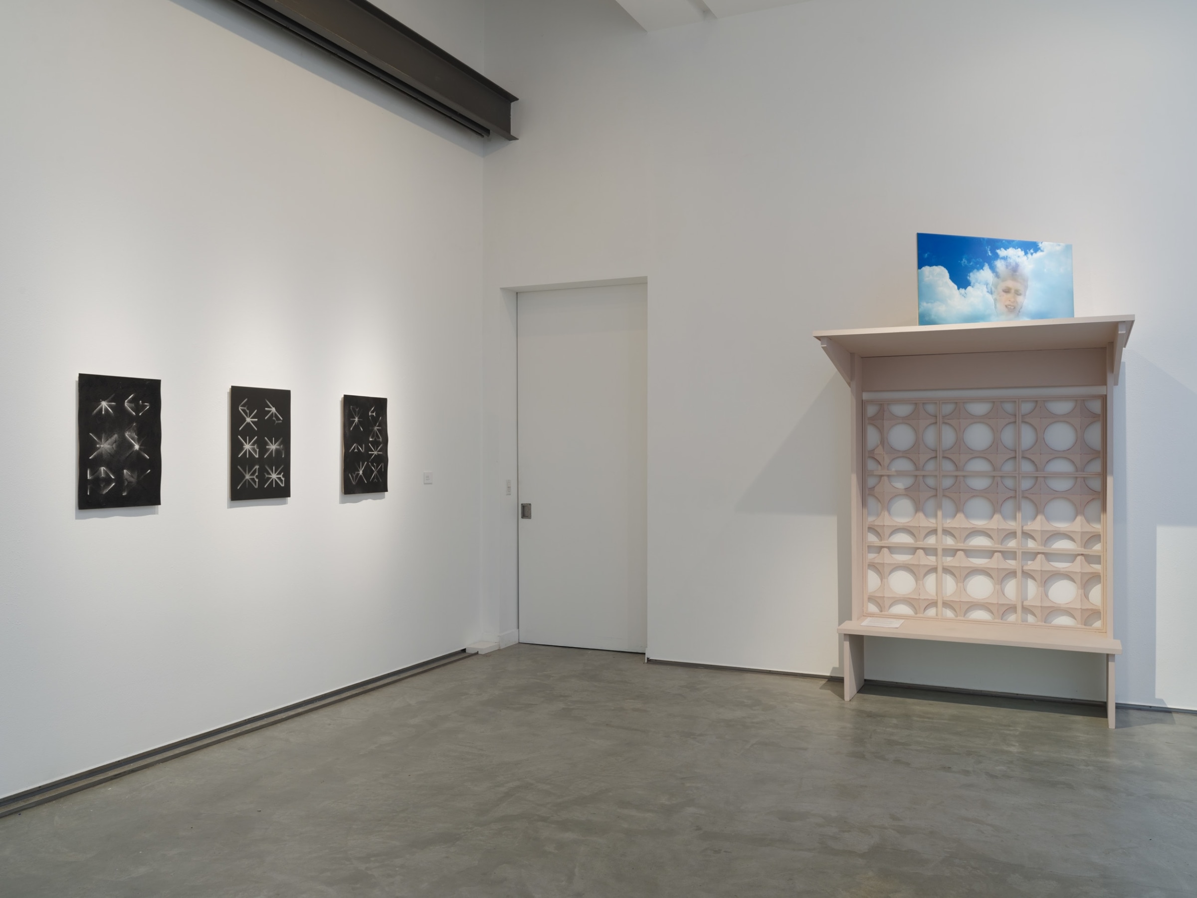 Installation view of&nbsp;Graft,&nbsp;ICA San Diego, on view&nbsp;March 4 &ndash; August 6, 2023.